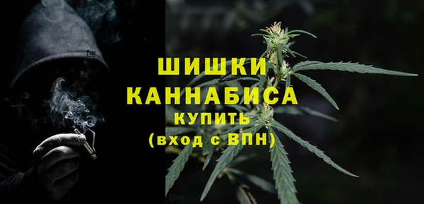 ПСИЛОЦИБИНОВЫЕ ГРИБЫ Балабаново