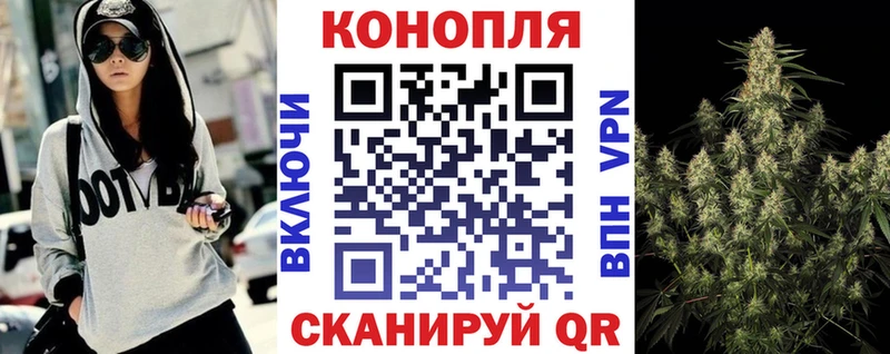 где купить   Биробиджан  Бошки марихуана сатива 